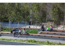 Interwoven stepped seating and planting at the east side of the garden looking t