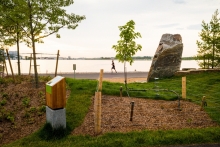 Three marker trees, a traditional navigation method used by First Nation people, guide visitors along the woodlot trail.