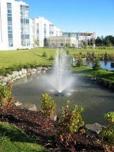 Thunder Bay Regional Hospital Integrated Storm water Management and Landscape