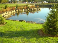 Thunder Bay Regional Hospital Integrated Storm water Management and Landscape