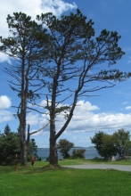 Point Pleasant Park