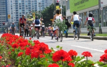 Toronto Central Waterfront – Quay to the City 