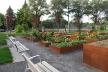 Community demonstration gardens – accessible planter on right