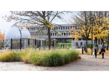 An overarching goal of the project was to minimize the visibility of the Observatory building. The design of the screens is based principles of quantum physics and are seasonally transformed into green screens. These screens control views of the Observatory building from the central spine and allow emerging views when walking across the site.