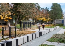 The Story Line Plinth includes many features. The elemental plates, the Power of Ten bands in the glass aggregate paving, and radial planting echoing our solar system are all details that emerge while visiting the site.